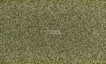 Ковролин Vorwerk Exclusive1009/Elara 4f75 фото 1 | FLOORDEALER